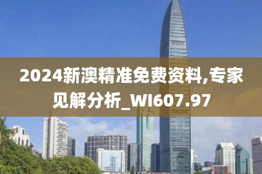 2024新澳精准免费资料,专家见解分析_WI607.97