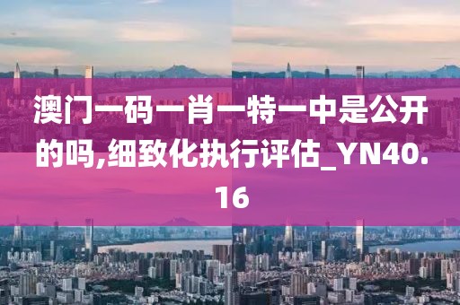 澳门一码一肖一特一中是公开的吗,细致化执行评估_YN40.16