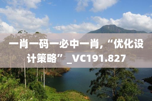 一肖一码一必中一肖,“优化设计策略”_VC191.827