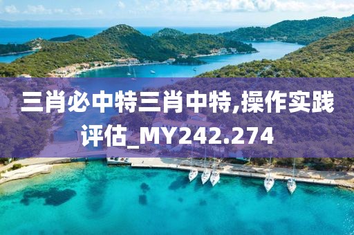 三肖必中特三肖中特,操作实践评估_MY242.274