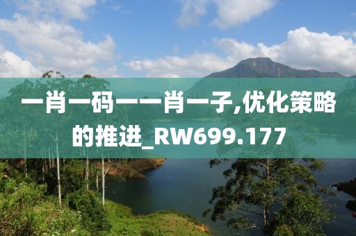 一肖一码一一肖一子,优化策略的推进_RW699.177