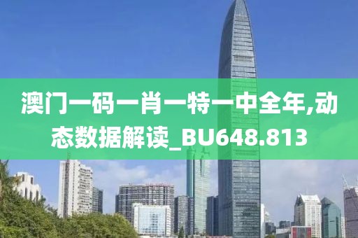 澳门一码一肖一特一中全年,动态数据解读_BU648.813
