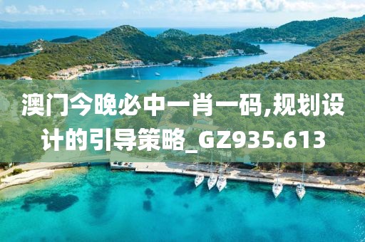 澳门今晚必中一肖一码,规划设计的引导策略_GZ935.613