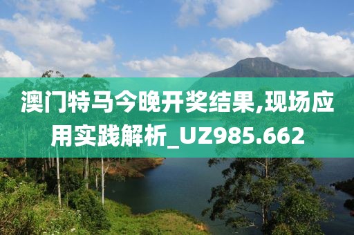 澳门特马今晚开奖结果,现场应用实践解析_UZ985.662