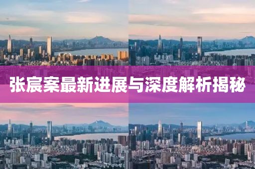 张宸案最新进展与深度解析揭秘