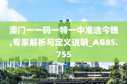 澳门一一码一特一中准选今晚,专家解析与定义说明_AG85.755