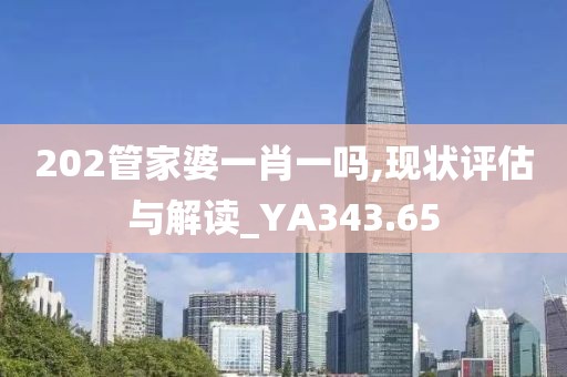 202管家婆一肖一吗,现状评估与解读_YA343.65