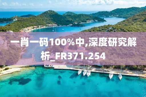 一肖一码100%中,深度研究解析_FR371.254