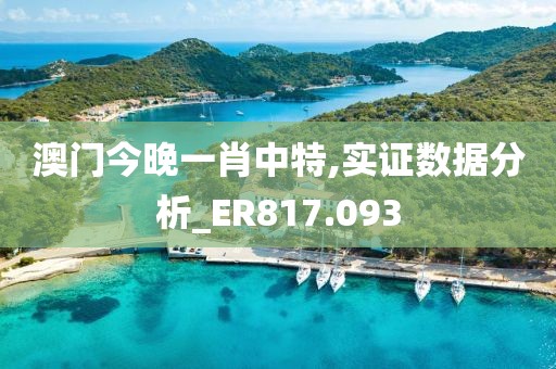 澳门今晚一肖中特,实证数据分析_ER817.093