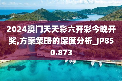 2024澳门天天彩六开彩今晚开奖,方案策略的深度分析_JP850.873
