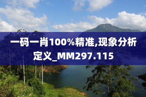 一码一肖100%精准,现象分析定义_MM297.115