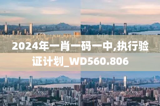 2024年一肖一码一中,执行验证计划_WD560.806