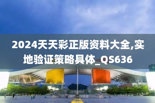 2024天天彩正版资料大全,实地验证策略具体_QS636