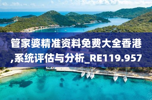管家婆精准资料免费大全香港,系统评估与分析_RE119.957