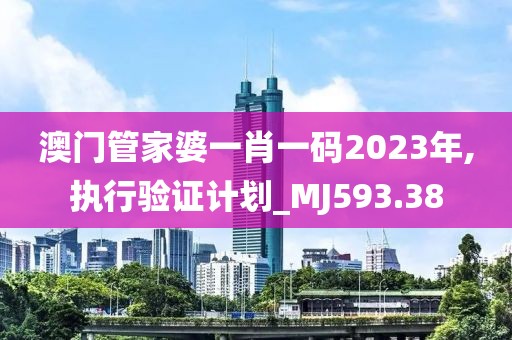 澳门管家婆一肖一码2023年,执行验证计划_MJ593.38