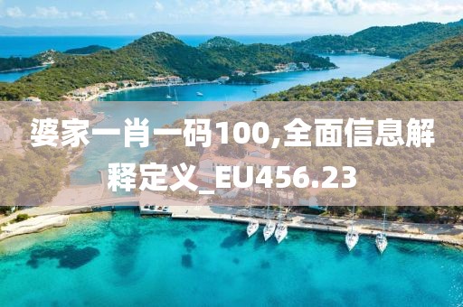 婆家一肖一码100,全面信息解释定义_EU456.23