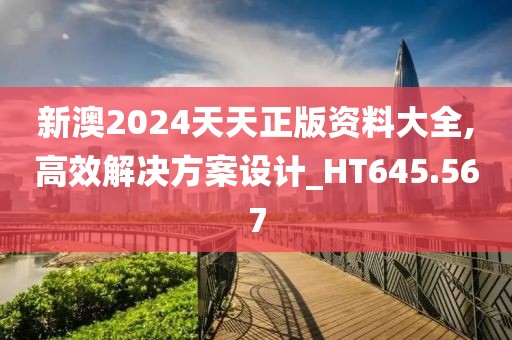 新澳2024天天正版资料大全,高效解决方案设计_HT645.567