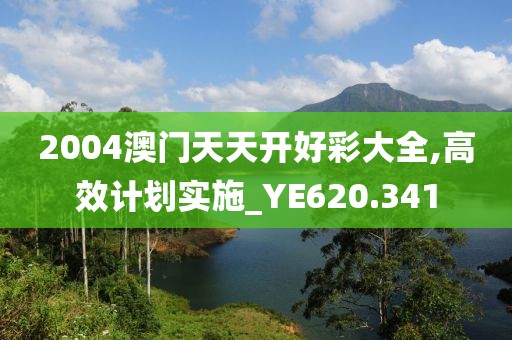 2004澳门天天开好彩大全,高效计划实施_YE620.341