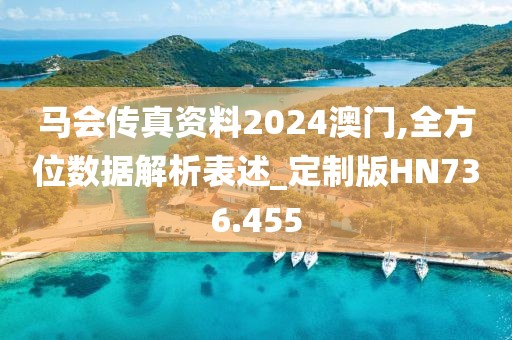 马会传真资料2024澳门,全方位数据解析表述_定制版HN736.455