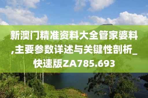 新澳门精准资料大全管家婆料,主要参数详述与关键性剖析_快速版ZA785.693