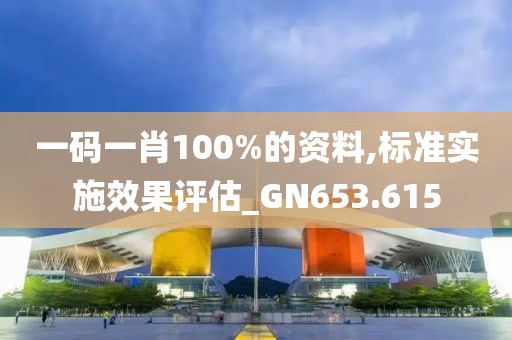 一码一肖100%的资料,标准实施效果评估_GN653.615