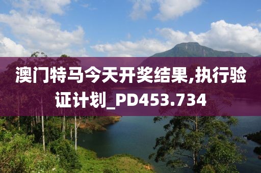 澳门特马今天开奖结果,执行验证计划_PD453.734