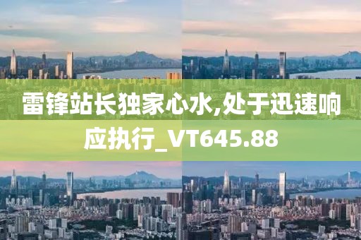 雷锋站长独家心水,处于迅速响应执行_VT645.88