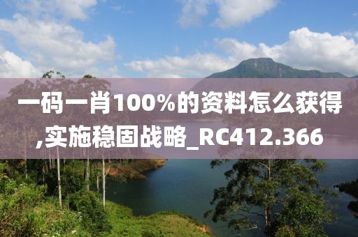 一码一肖100%的资料怎么获得,实施稳固战略_RC412.366