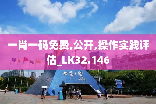 一肖一码免费,公开,操作实践评估_LK32.146