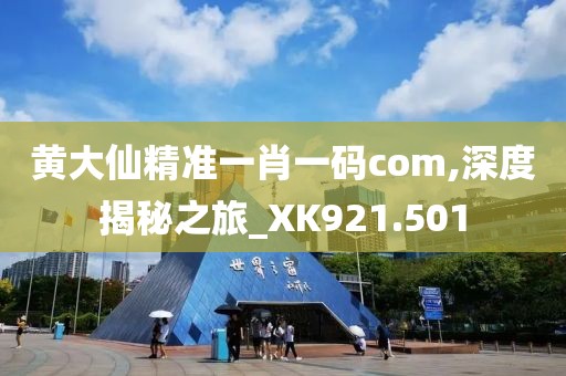 黄大仙精准一肖一码com,深度揭秘之旅_XK921.501