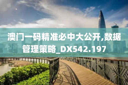 澳门一码精准必中大公开,数据管理策略_DX542.197