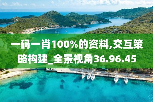 一码一肖100%的资料,交互策略构建_全景视角36.96.45