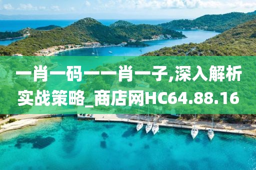 一肖一码一一肖一子,深入解析实战策略_商店网HC64.88.16