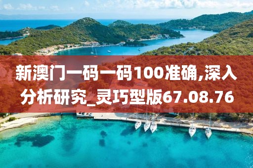新澳门一码一码100准确,深入分析研究_灵巧型版67.08.76