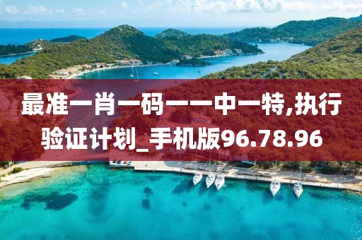 最准一肖一码一一中一特,执行验证计划_手机版96.78.96