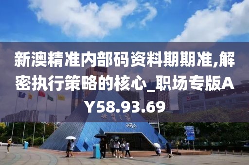 新澳精准内部码资料期期准,解密执行策略的核心_职场专版AY58.93.69