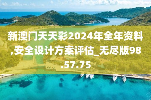 新澳门天天彩2024年全年资料,安全设计方案评估_无尽版98.57.75