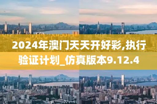 2024年澳门天天开好彩,执行验证计划_仿真版本9.12.4