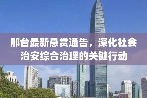 邢台最新悬赏通告，深化社会治安综合治理的关键行动