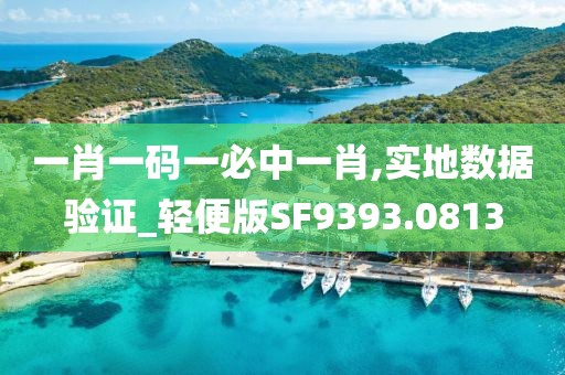 一肖一码一必中一肖,实地数据验证_轻便版SF9393.0813