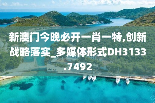 新澳门今晚必开一肖一特,创新战略落实_多媒体形式DH3133.7492