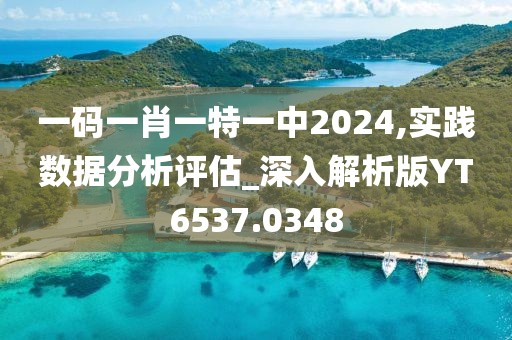 一码一肖一特一中2024,实践数据分析评估_深入解析版YT6537.0348