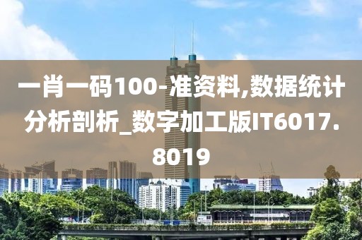一肖一码100-准资料,数据统计分析剖析_数字加工版IT6017.8019