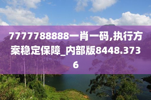 7777788888一肖一码,执行方案稳定保障_内部版8448.3736
