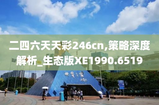 二四六天天彩246cn,策略深度解析_生态版XE1990.6519