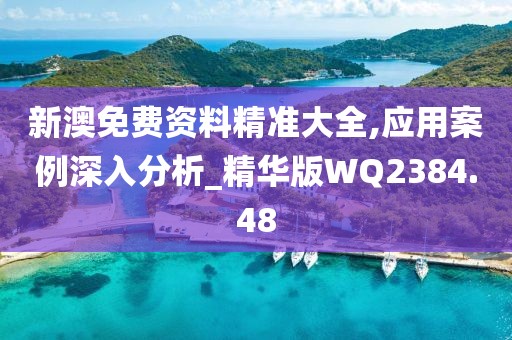 新澳免费资料精准大全,应用案例深入分析_精华版WQ2384.48