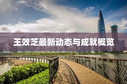 王效芝最新动态与成就概览