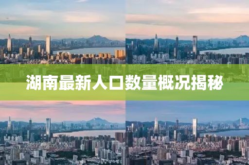 湖南最新人口数量概况揭秘