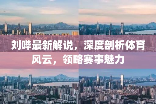 刘哔最新解说，深度剖析体育风云，领略赛事魅力