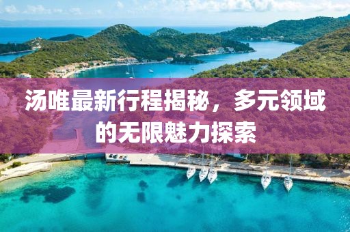 汤唯最新行程揭秘，多元领域的无限魅力探索